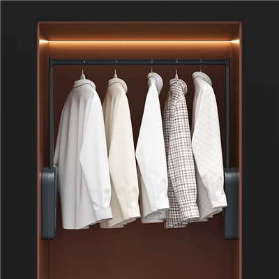 স্মার্ট ওয়ারড্রোব ইলেকট্রিক লিফটিং কাপড়ের রড
